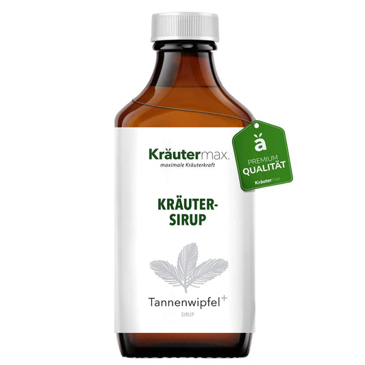 Tannenwipfelsirup | Kräutermax